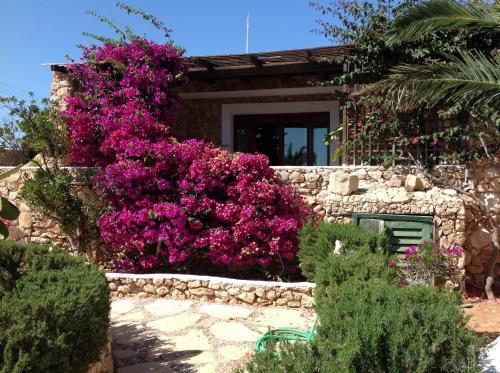 Cupola Bianca Resort Lampedusa Exterior foto